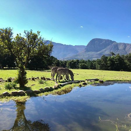 Franschhoek Country Cottages 外观 照片