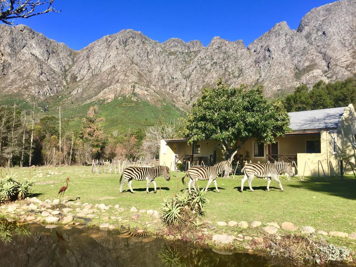 Franschhoek Country Cottages 外观 照片